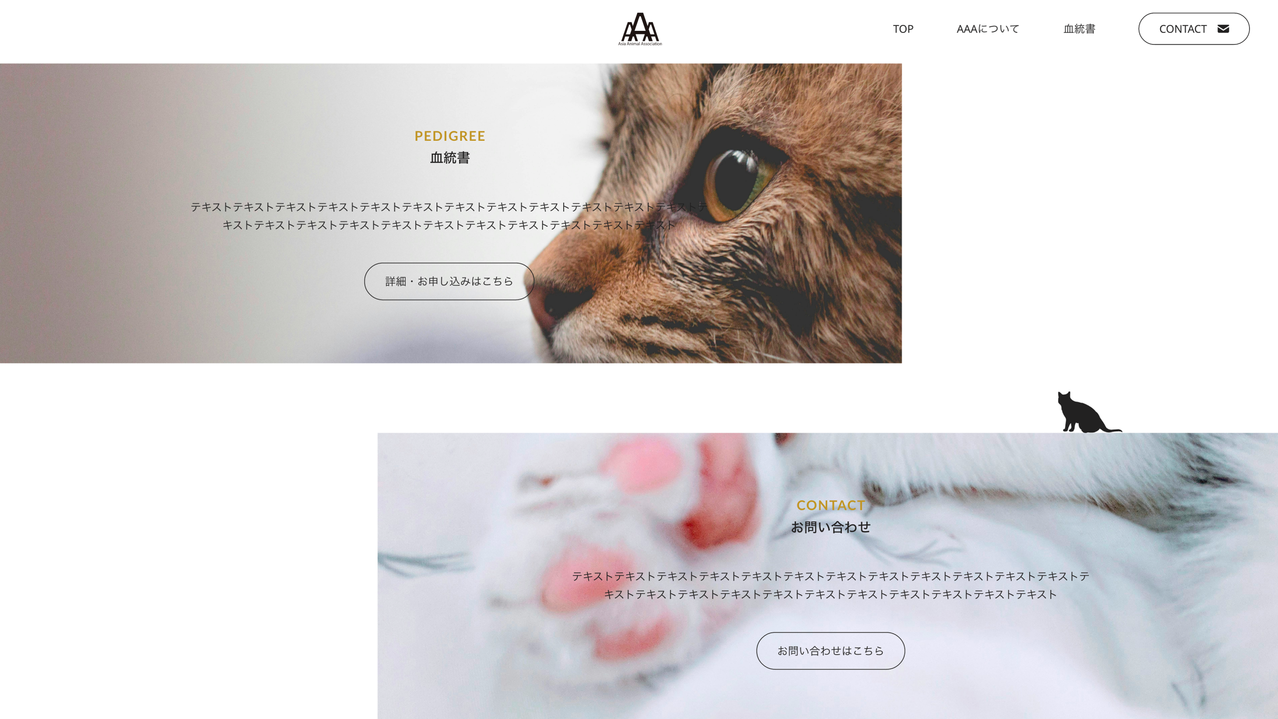 Asia Animal Association
