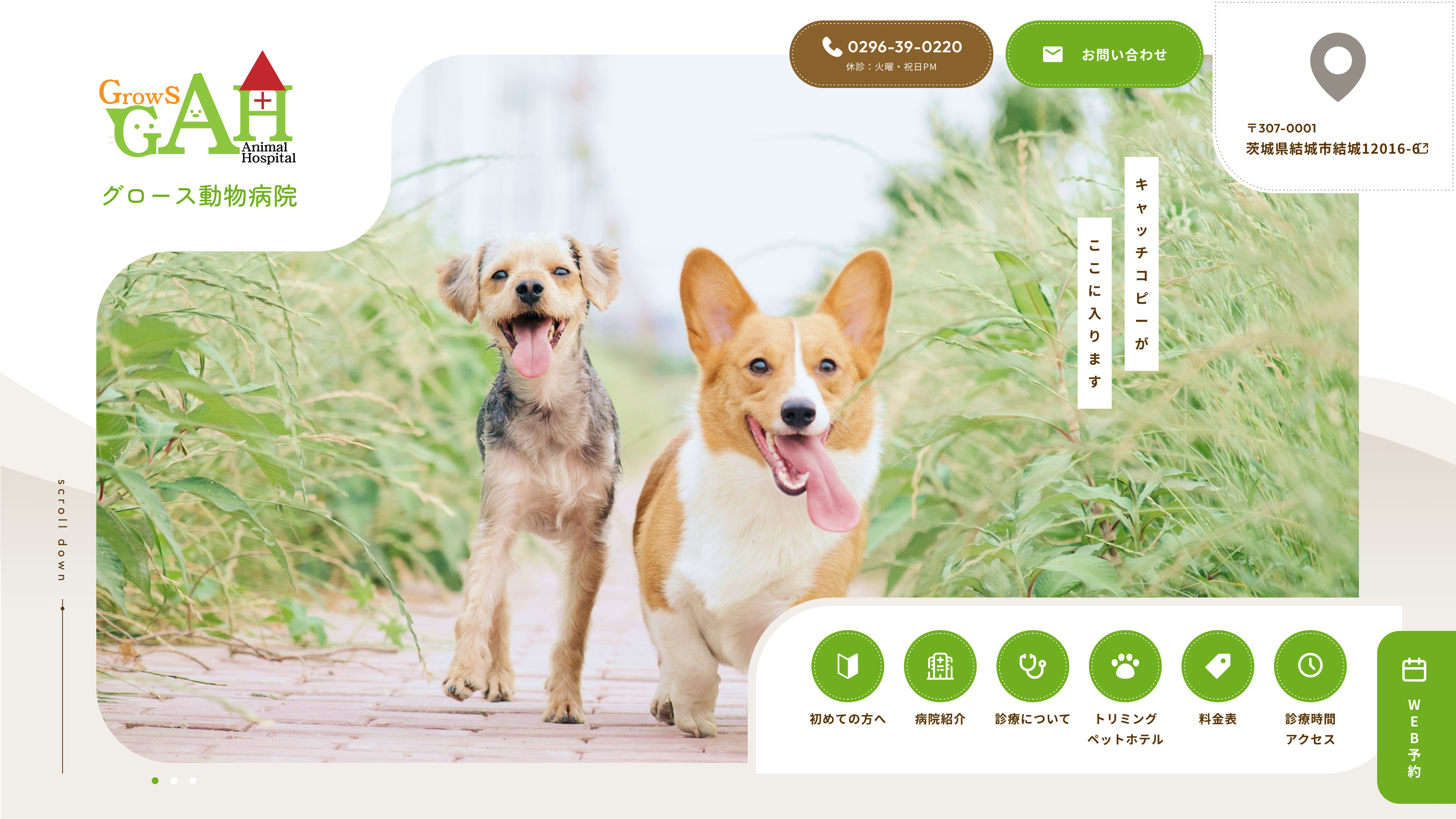 Grows Animal Hospital